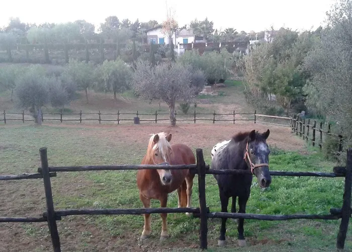 Agriturismo Terranova Летний дом
