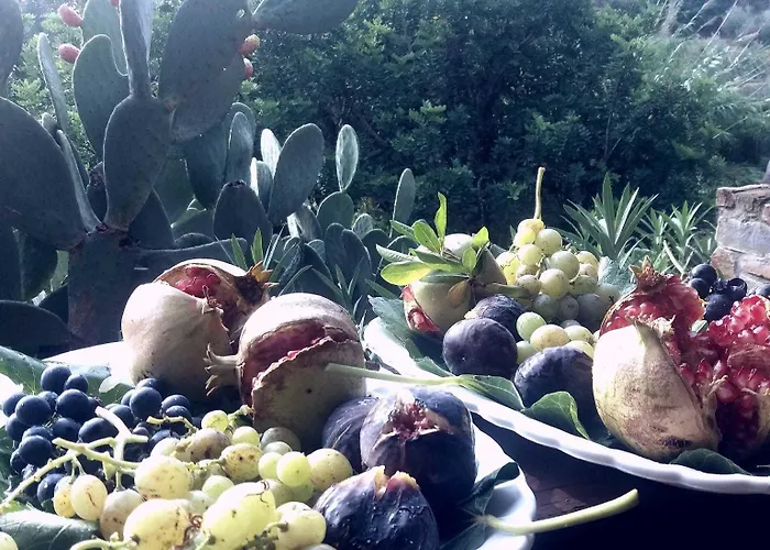 Летний дом Agriturismo Terranova *