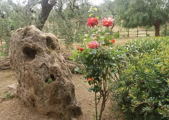 Летний дом Agriturismo Terranova