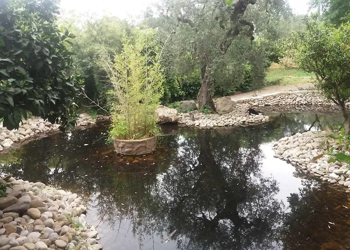 Agriturismo Terranova Летний дом