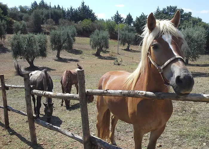 Agriturismo Terranova