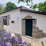 Terranova