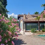Terranova