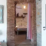 Terranova *