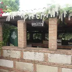 Terranova *
