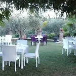 Terranova
