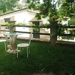 Terranova