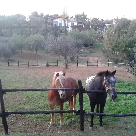 Agriturismo Terranova Летний дом