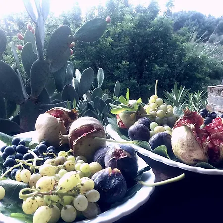 Casa di campagna Terranova *