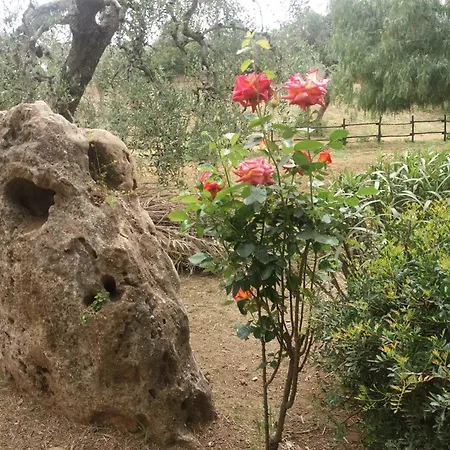 Casa di campagna Terranova