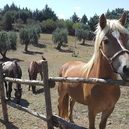 Agriturismo Terranova